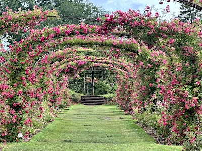 Elizabeth Park Rose Garden