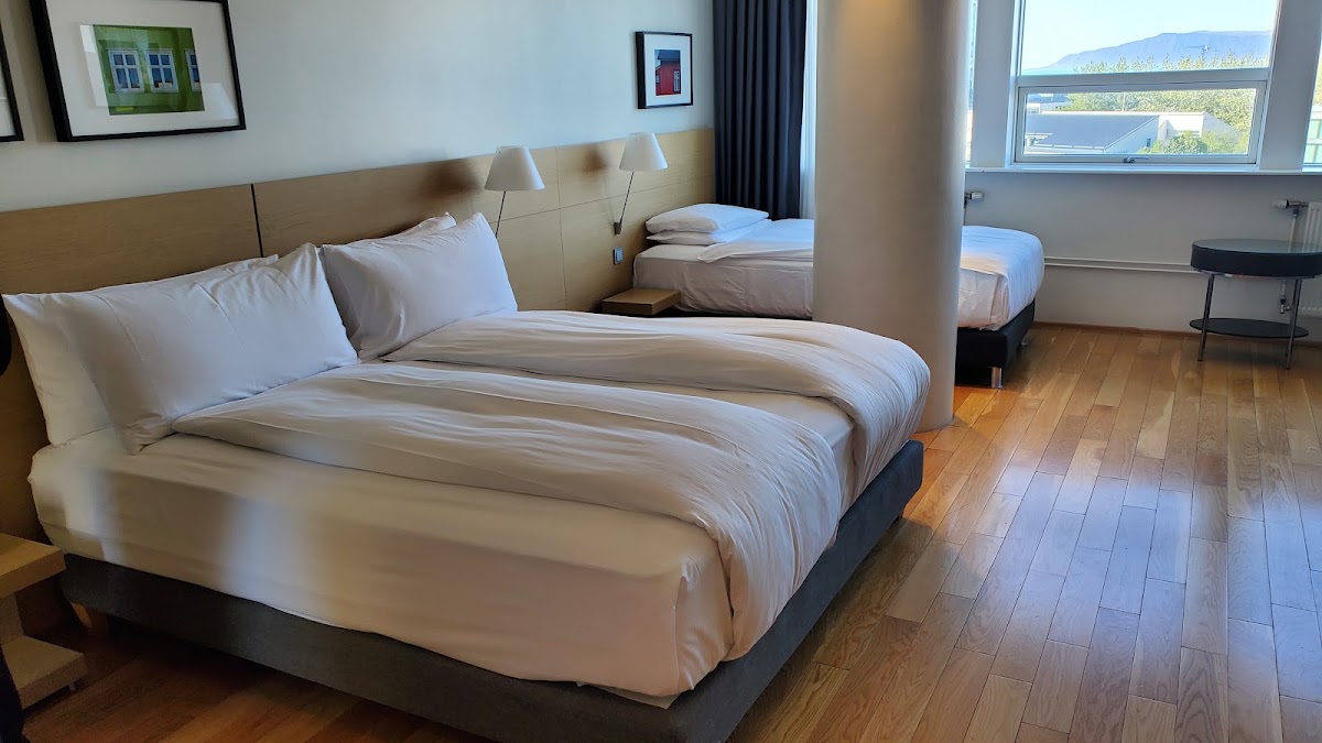Hilton Reykjavík, dog-friendly hotel, photo 5