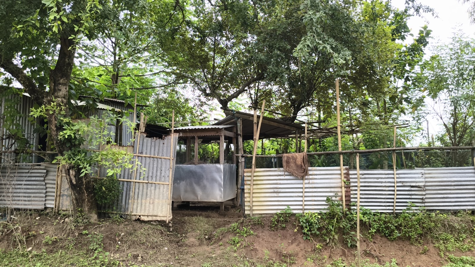 Diya dhaba Google photo 1