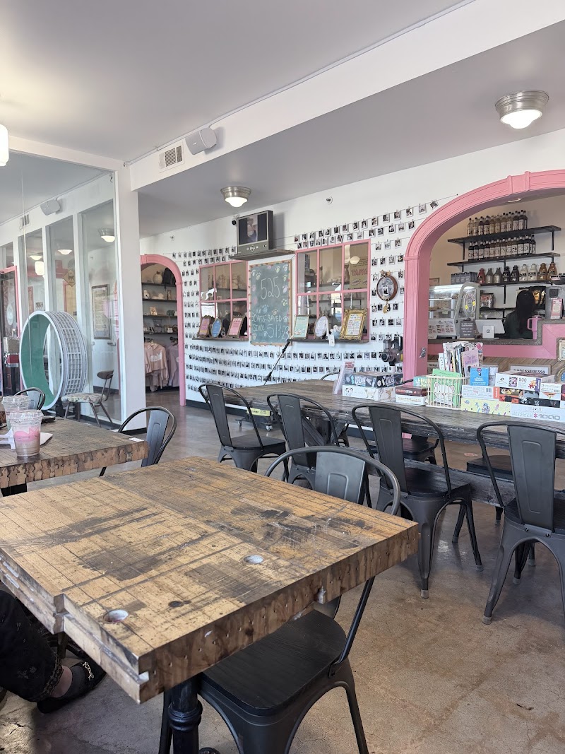 don't stress meowt - Cat Cafe photo 2