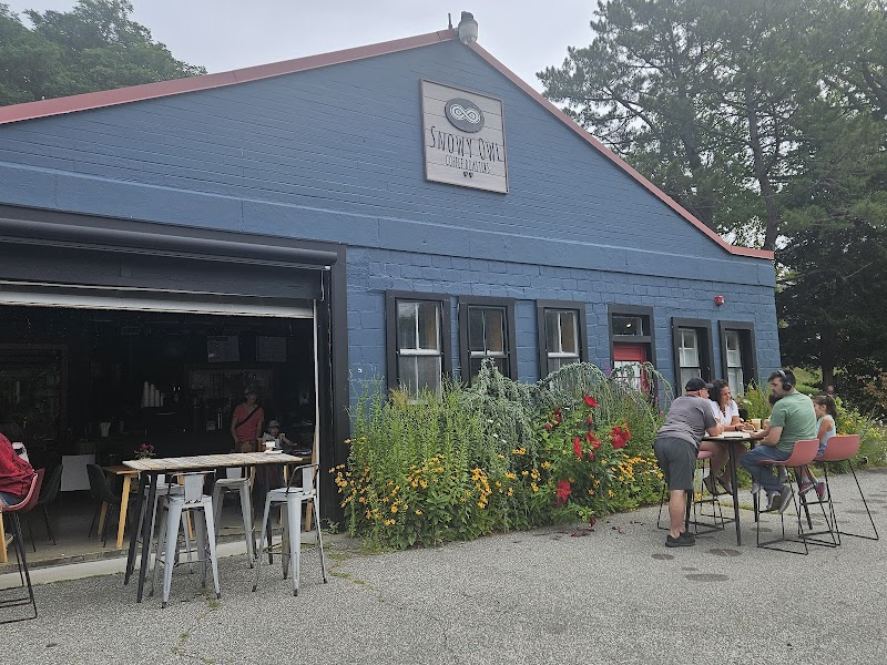 Snowy Owl Cafe & Roastery photo 3