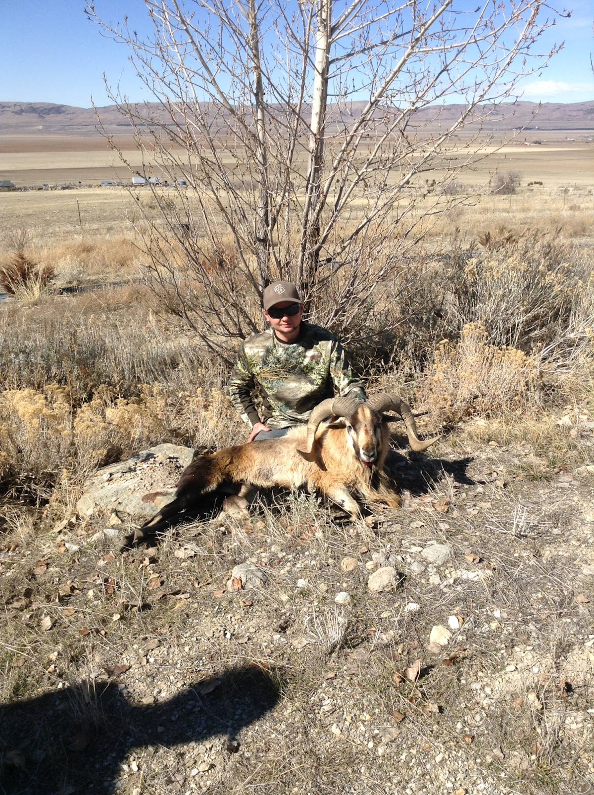 Water Hollow Hunts LLC
