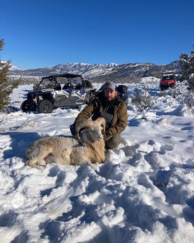 Water Hollow Hunts LLC - Photo 1