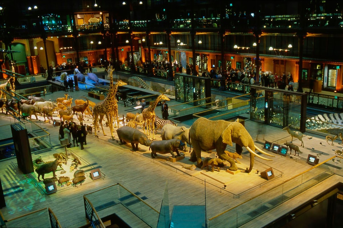 Grande Galerie de l'Évolution, vue extérieure