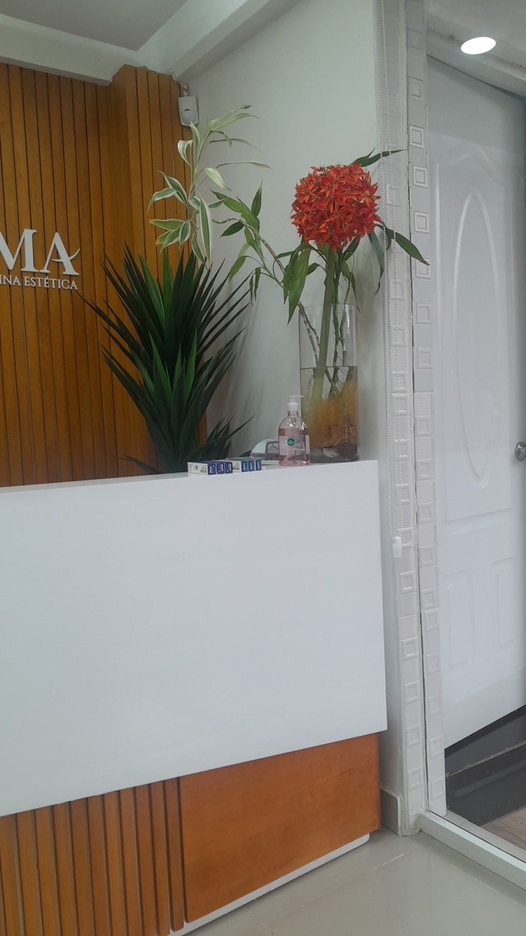 Viderma - Imagen 2