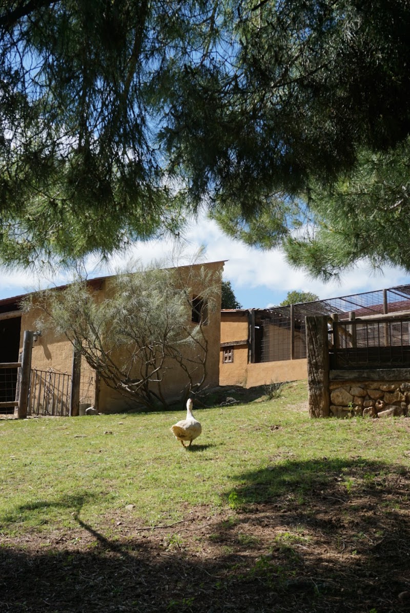 Granja Escuela Onceolivos