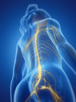 Meridian Health & Wellness photo 6