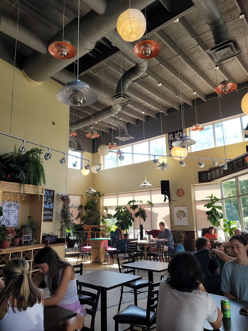 Moe Joe Coffee Co photo 3