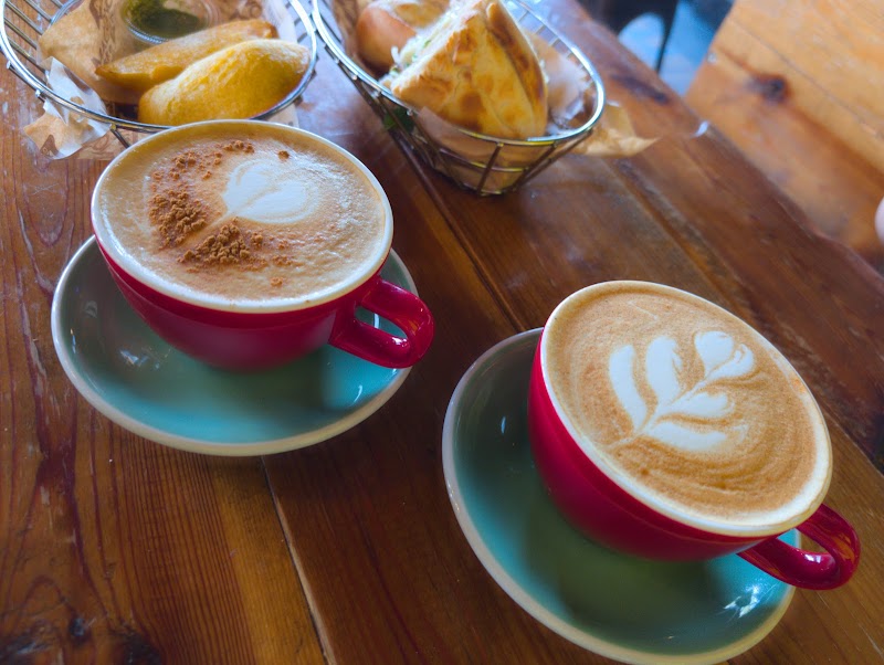 Macondo Coffee Roasters - Wesley Chapel photo 4