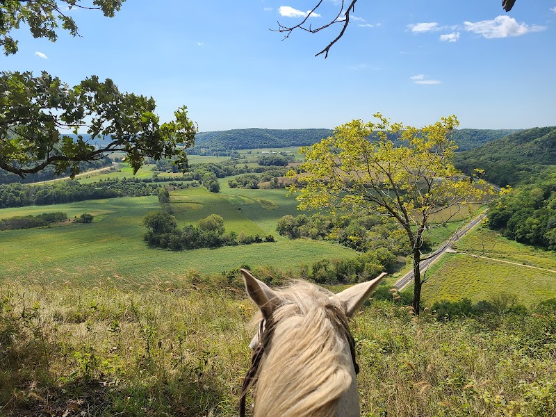 Outback Ranch Inc. - Photo 4