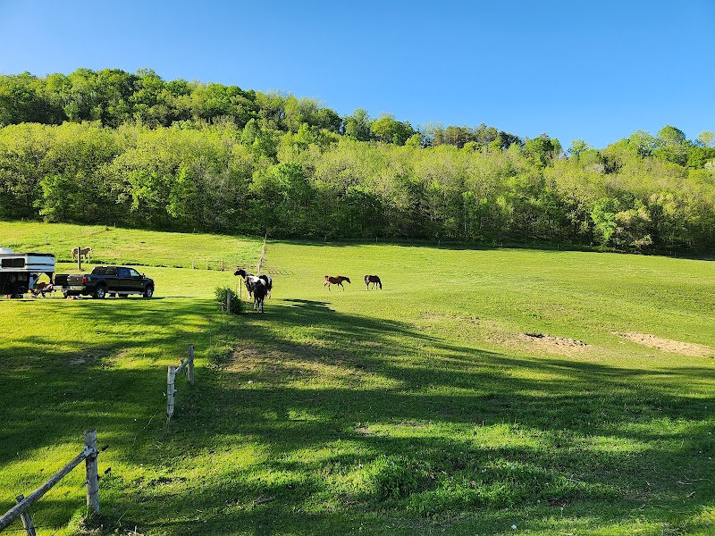 Outback Ranch Inc. - Photo 6