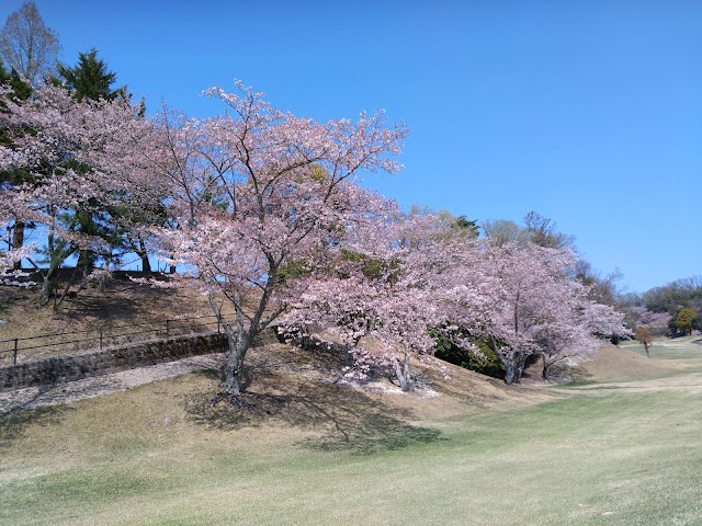 Kisaichi Country Club - Photo 5
