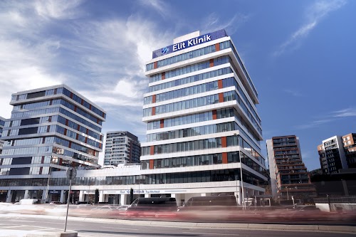 Elithair | Dr. Balwi Hair Transplant Turkey logo