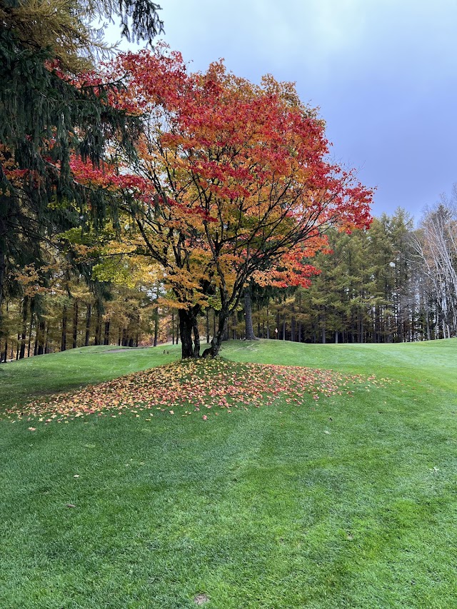 Koto Asahikawa Country Club - Photo 3