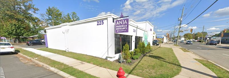 Video tour of ANJA: Cannabis Dispensary retail environment