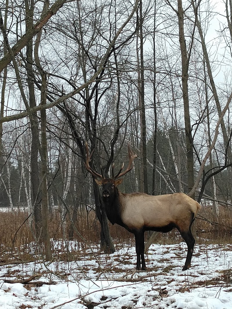 Green's Deer Ranch - Photo 3