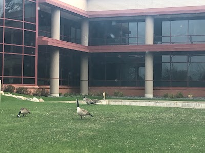 MedStudio Private Medical Clinics photo 4