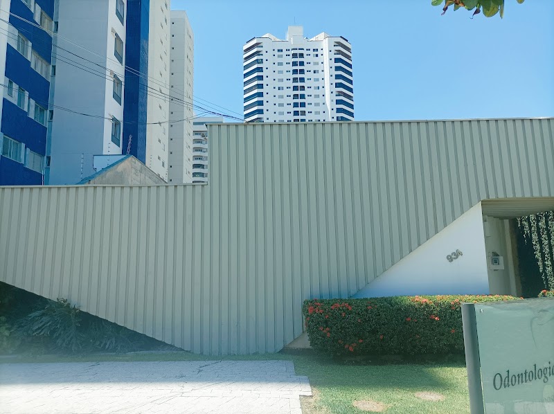 Maria Bernadete Bertocini - foto 5