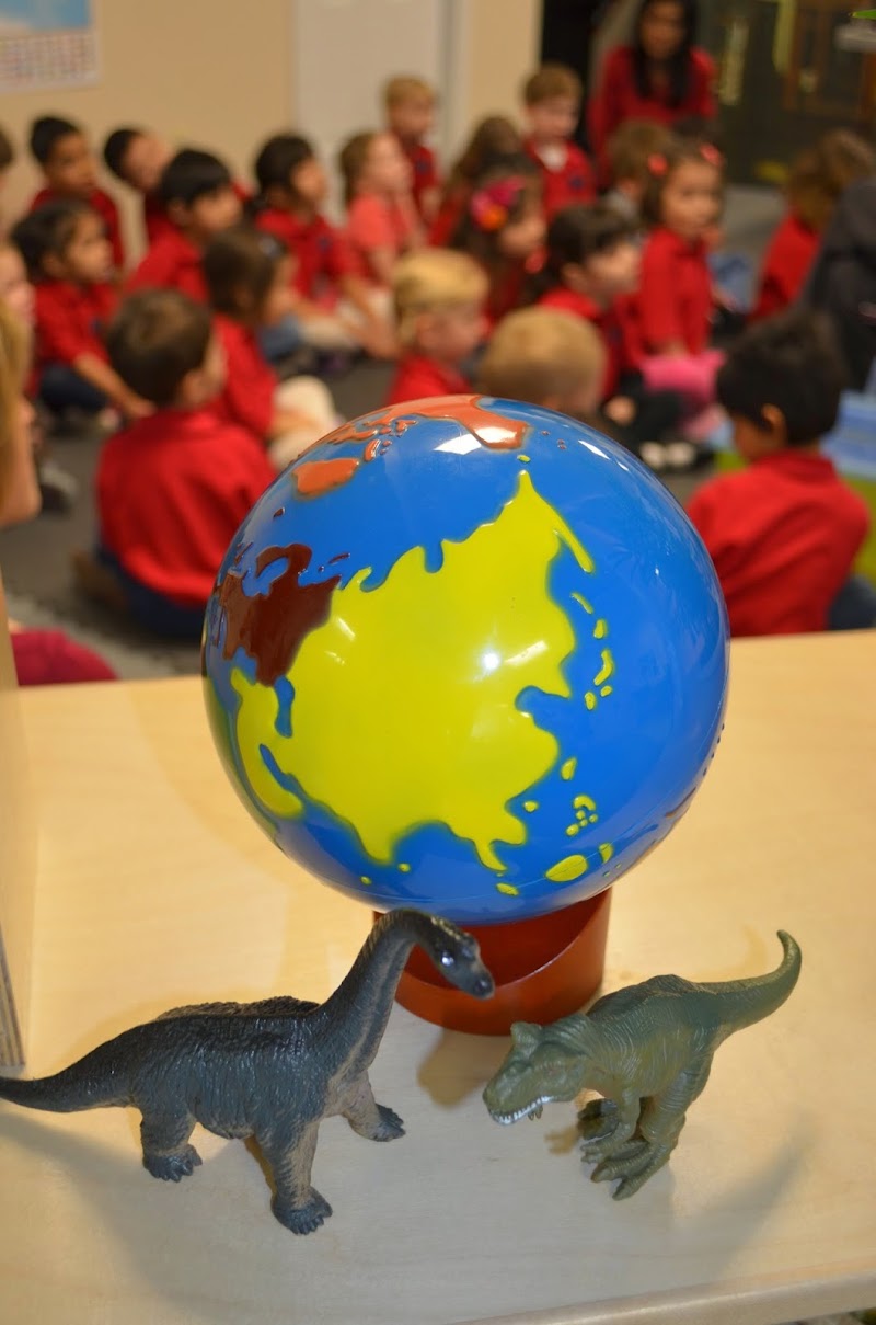 One World Montessori School photo 3