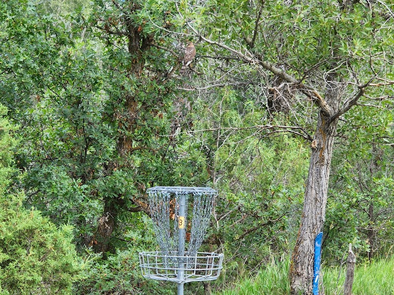 Two Gray Hares Disc Golf Course photo 4