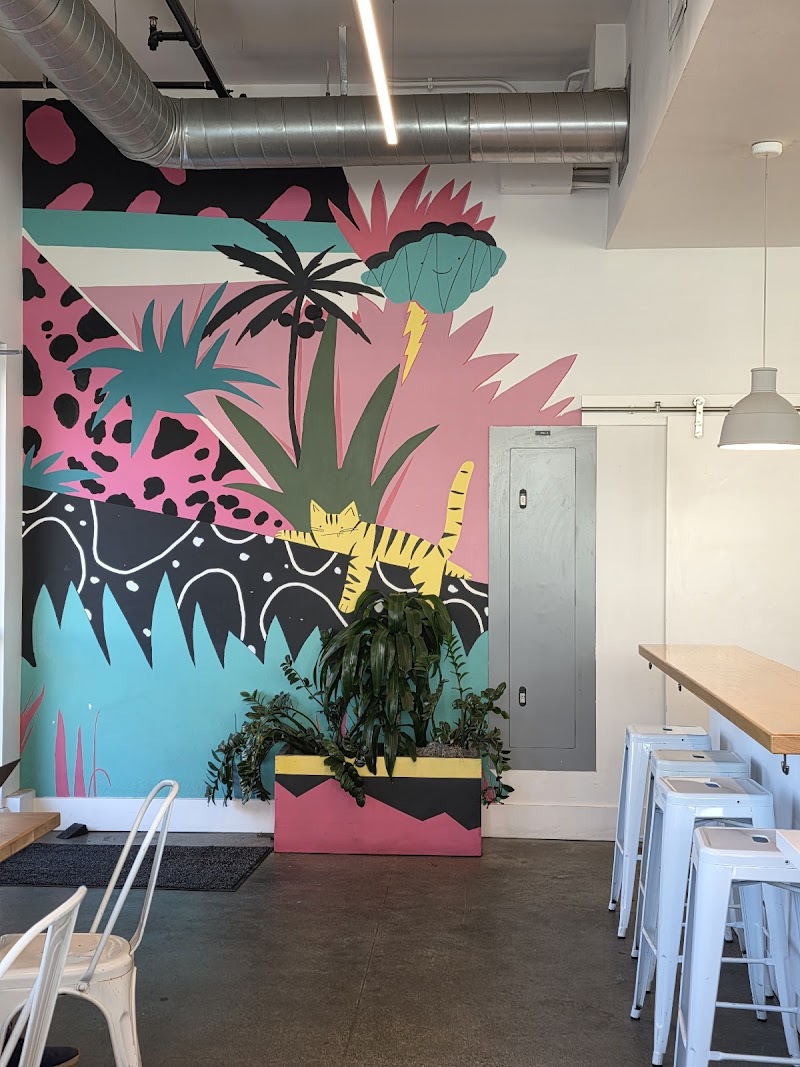 Cat & Cloud Coffee photo 4