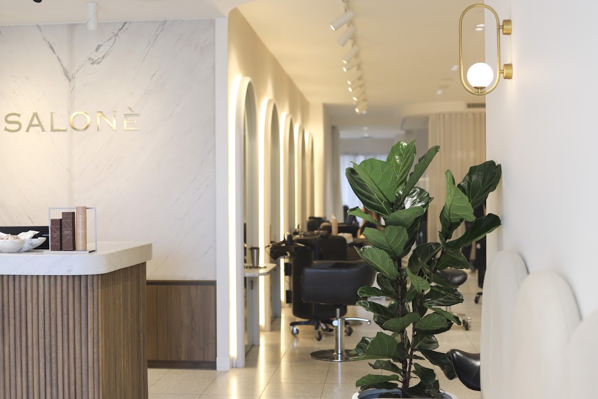 SALONÈ photo 1