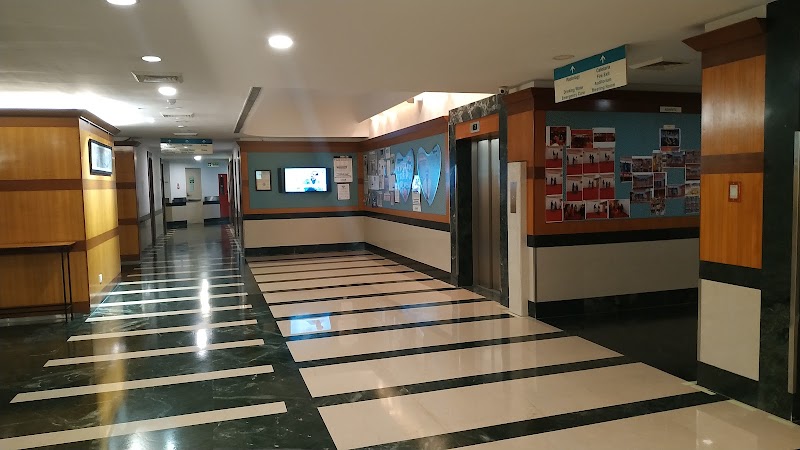 Gallery 3