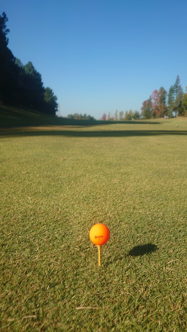 Lake Green Golf Club - Photo 8