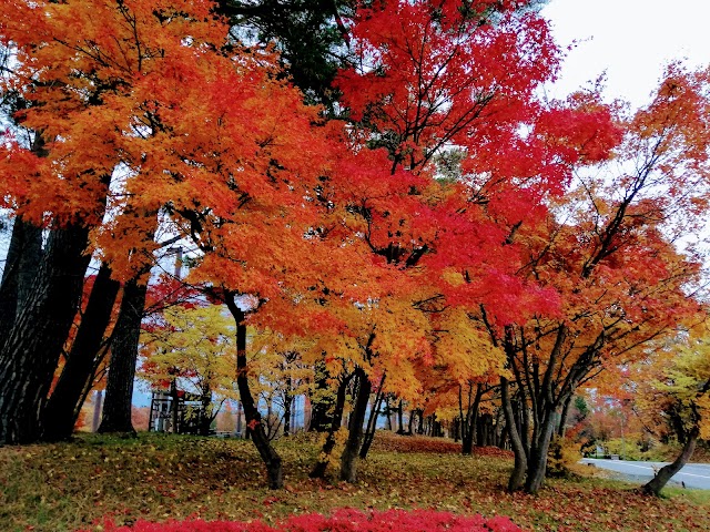 Hoshino Resorts Mellow Wood Golf Club - Photo 10