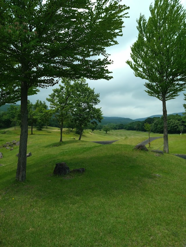 Hoshino Resorts Mellow Wood Golf Club - Photo 8