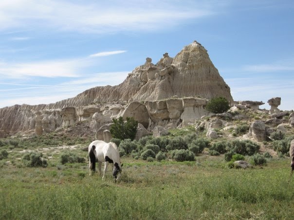 Starrynight Ranch