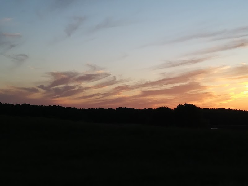 Elm Creek Park Reserve - Disc Golf Course photo 4