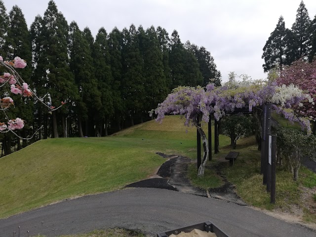 Saga Royal Golf Club - Photo 7