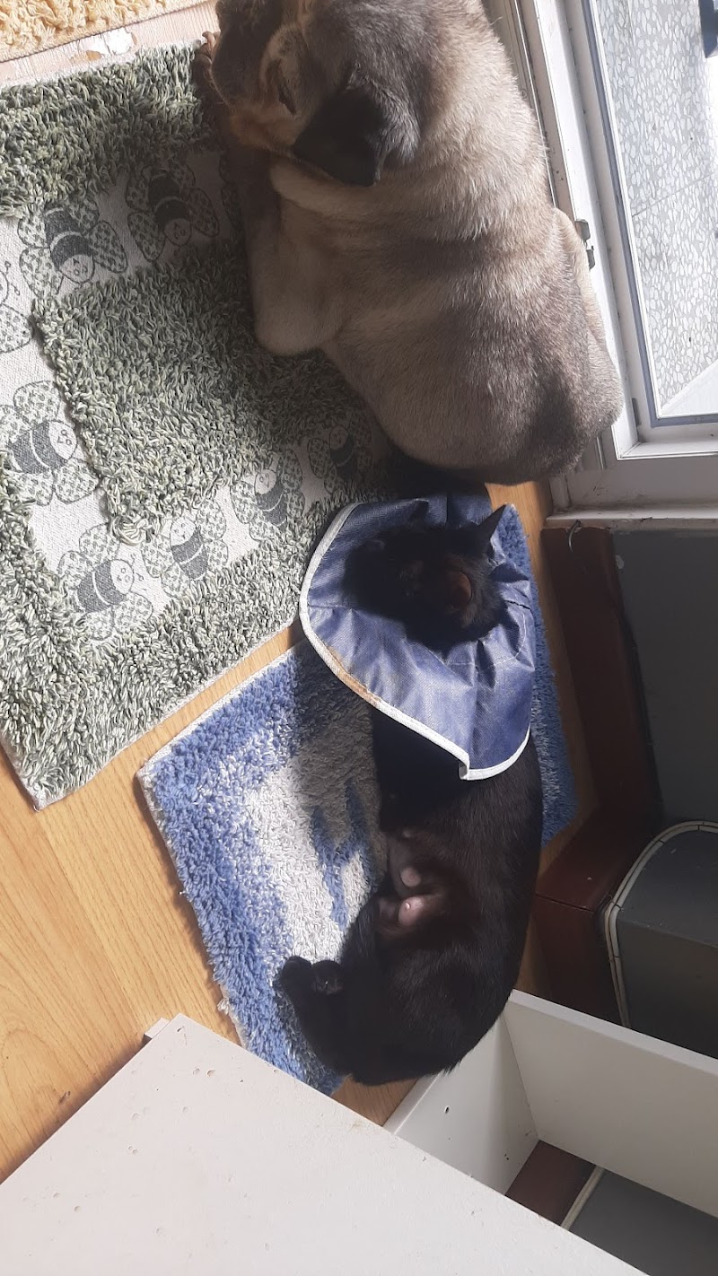 CLÍNICA VETERINARIA ALTZA