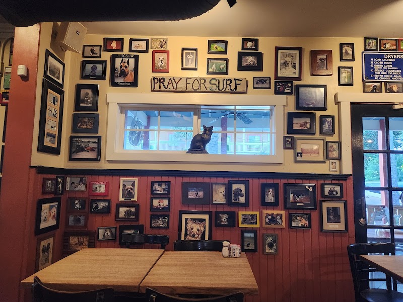 Lost Dog Cafe photo 4