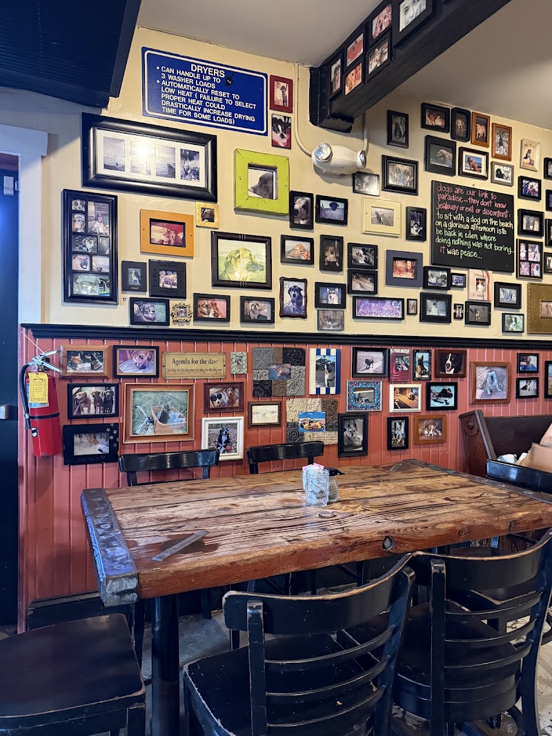 Lost Dog Cafe photo 4