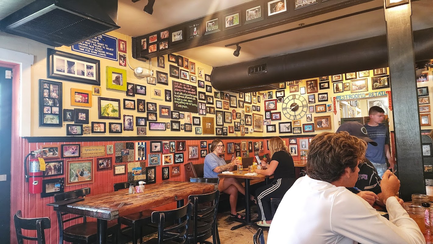 Lost Dog Cafe photo 3