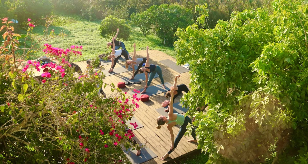 WOLFS YOGA - Yoga & Meditation Retreats Portugal Algarve