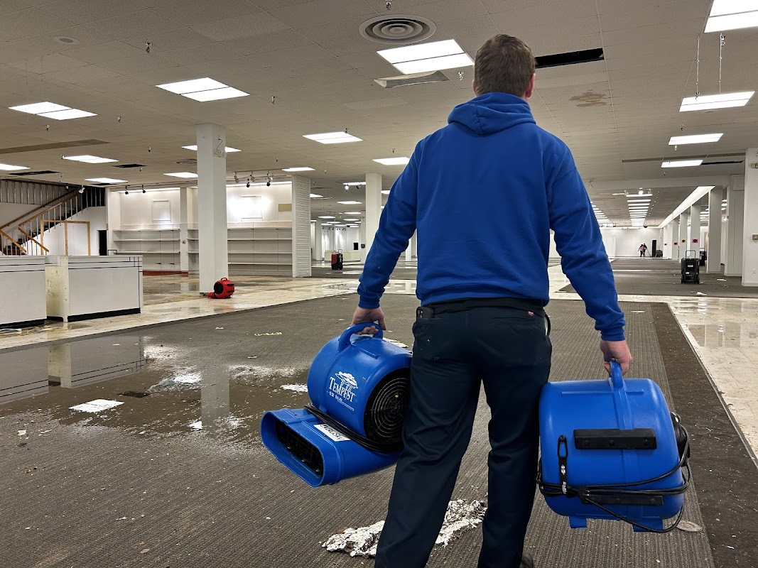 BluSky Restoration Contractors — photo