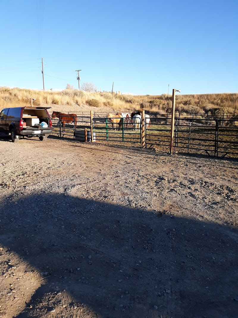 Western Outdoor Adventures, Llc - Photo 6