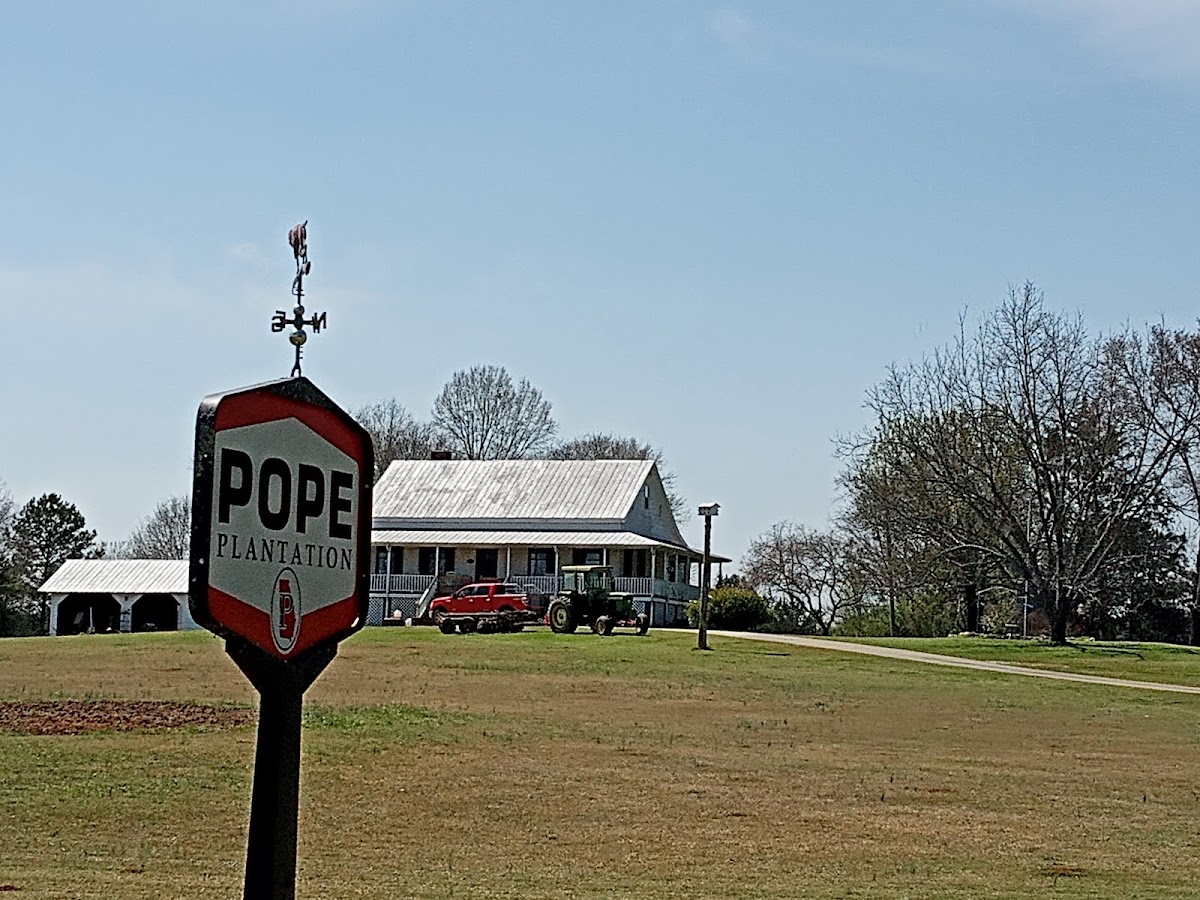 Pope Plantation: Deer and Quail Hunting