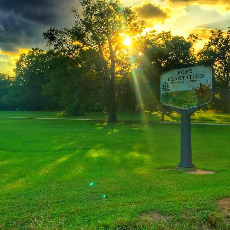 Pope Plantation: Deer and Quail Hunting - Photo 6