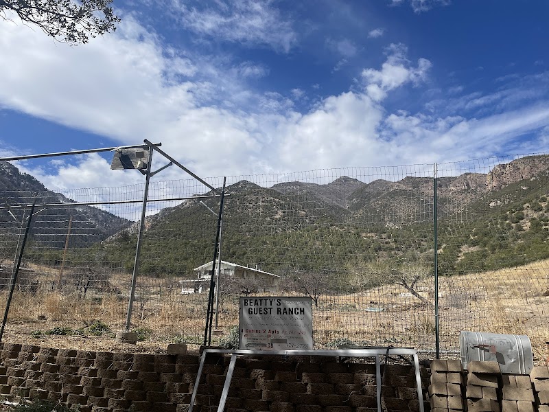 Beatty's Guest Ranch - Photo 4