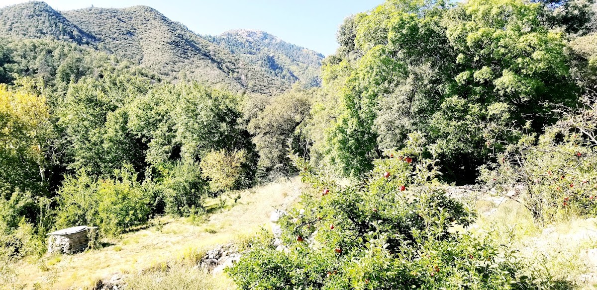 Beatty's Guest Ranch