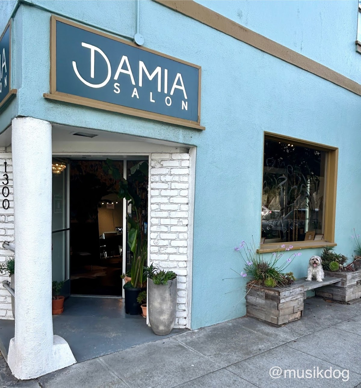 Damia Hair Salon: Google Places image 3