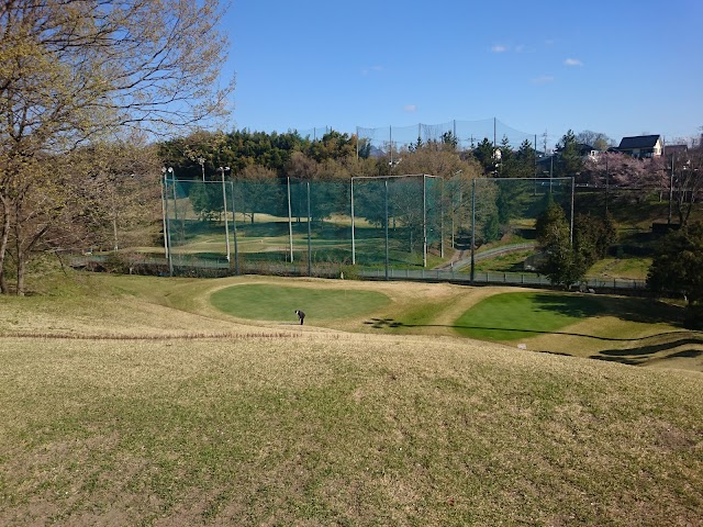 Rise Short Golf Course - Photo 2