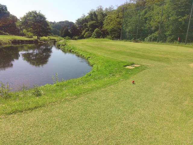Rise Short Golf Course - Photo 1