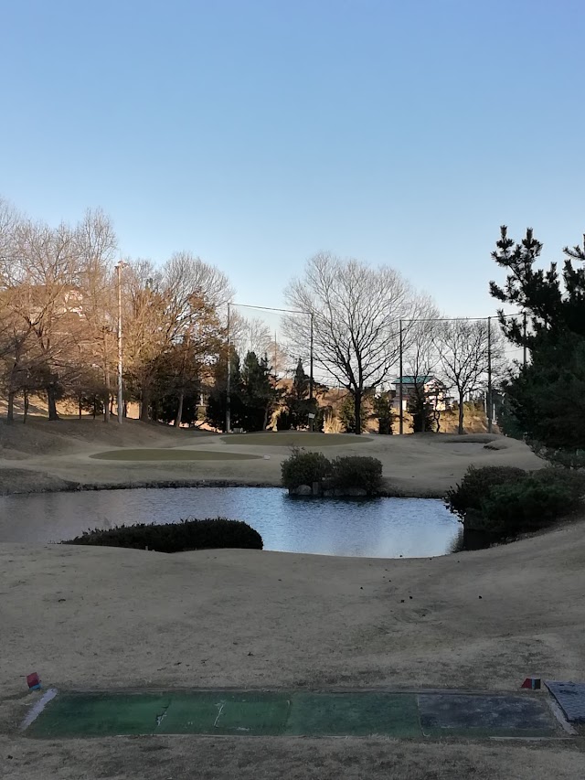 Rise Short Golf Course - Photo 10