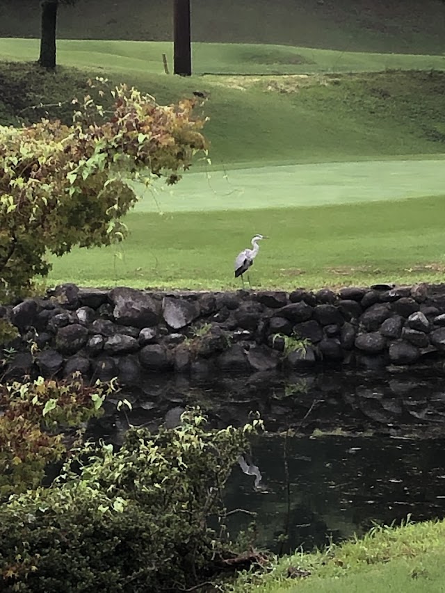 Rise Short Golf Course - Photo 7