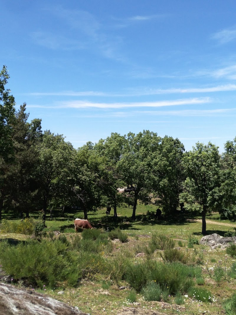 Centro Veterinario El Refugio